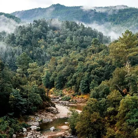 Nyaraló Modern Container In