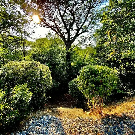 Nyaraló Modern Container In